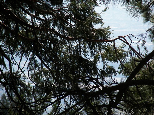 Detail Gallery Image 19 of 69 For 21636 Sawpit Canyon, Cedarpines Park,  CA 92322 - 3 Beds | 2 Baths