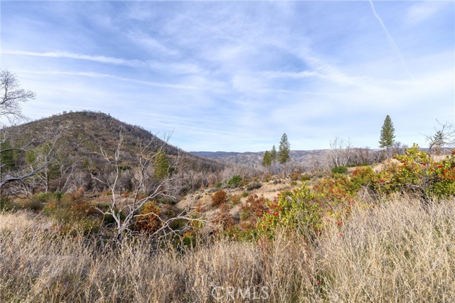 2231 Lumpkin Road, Oroville, California 95966, ,Land,For Sale,2231 Lumpkin Road,CRSN23227176