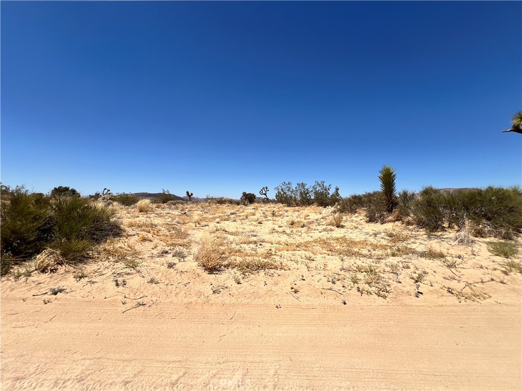MLS #SW24134801 image #2