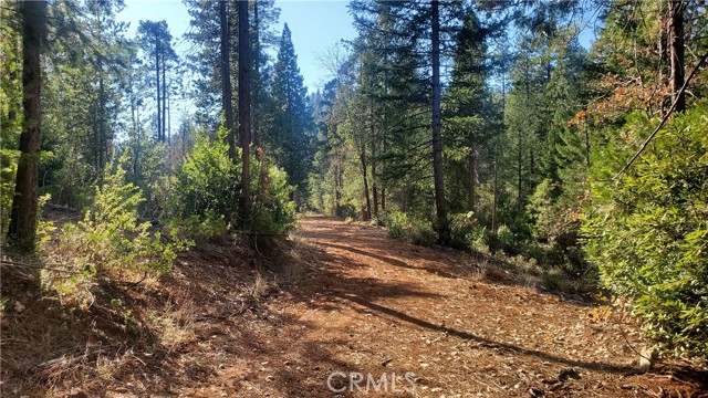 1 Coutolenc Road, Magalia, California 95954, ,Land,For Sale,1 Coutolenc Road,CRSN23217034