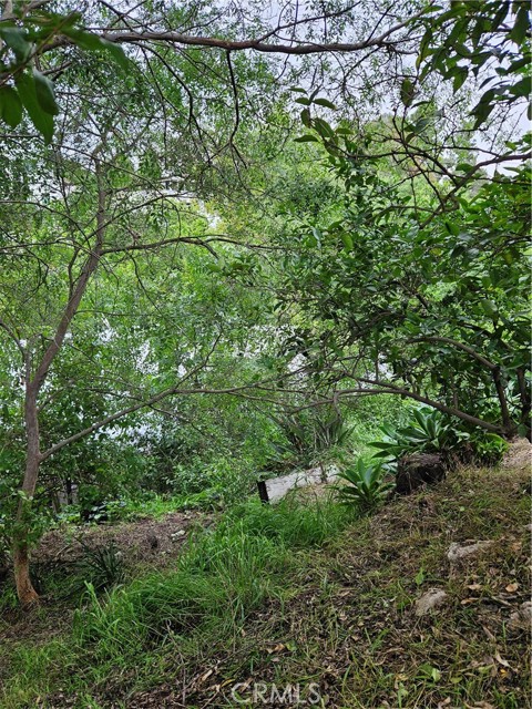 Detail Gallery Image 46 of 48 For 26349 Hillcrest Ave, Lomita,  CA 90717 - 5 Beds | 2 Baths