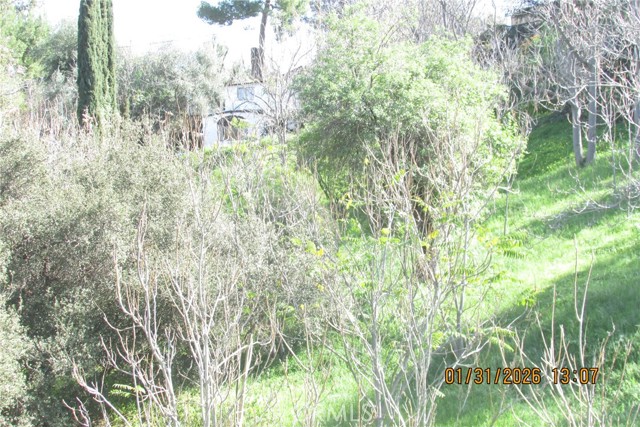 Detail Gallery Image 9 of 51 For 8001 Denivelle Rd., Sunland,  CA 91040 - – Beds | – Baths