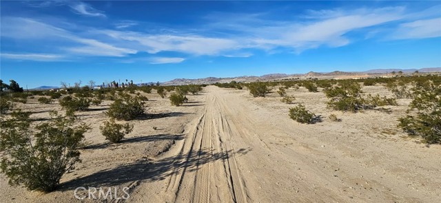 Detail Gallery Image 2 of 6 For 800 Desert Queen, Twentynine Palms,  CA 92277 - – Beds | – Baths
