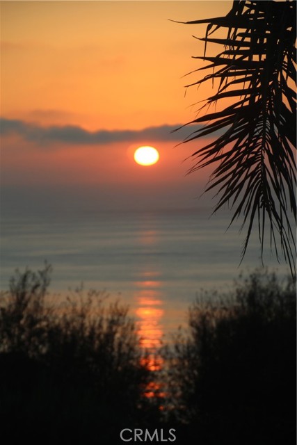 View from front balcony