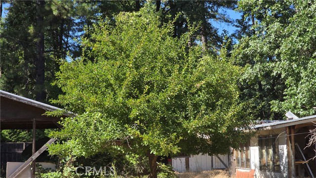 13793 Nimshew Road, Magalia CA: https://media.crmls.org/medias/d965f7cd-d802-41e4-9a16-1d3cc0351d4e.jpg