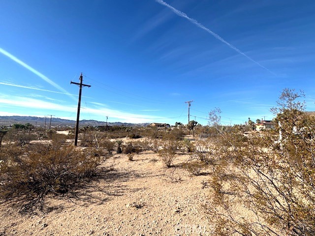 MLS #JT25252608 image #5