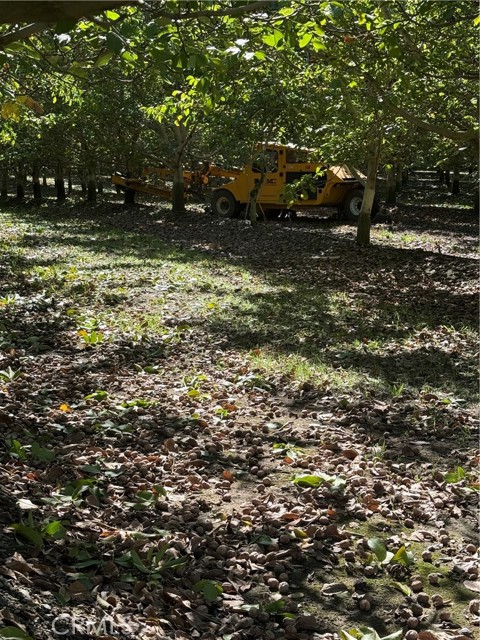 Detail Gallery Image 11 of 19 For 0 Rawson Road, Gerber,  CA 96035 - – Beds | – Baths