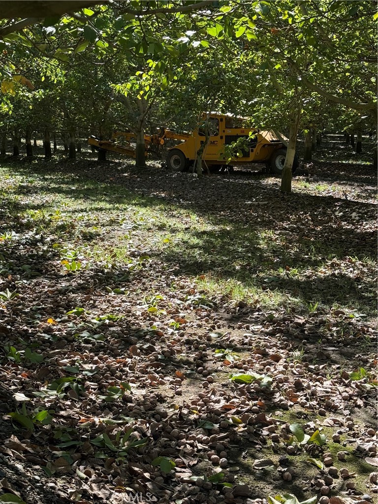 MLS #SN25233384 image #10