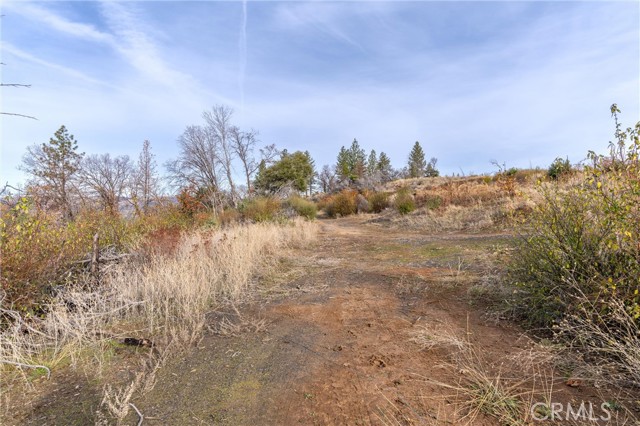 2231 Lumpkin Road, Oroville, California 95966, ,Land,For Sale,2231 Lumpkin Road,CRSN23227176