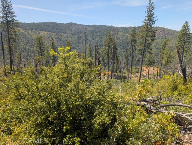 Detail Gallery Image 11 of 14 For 0 Lumberjack Road, Oroville,  CA 95965 - – Beds | – Baths