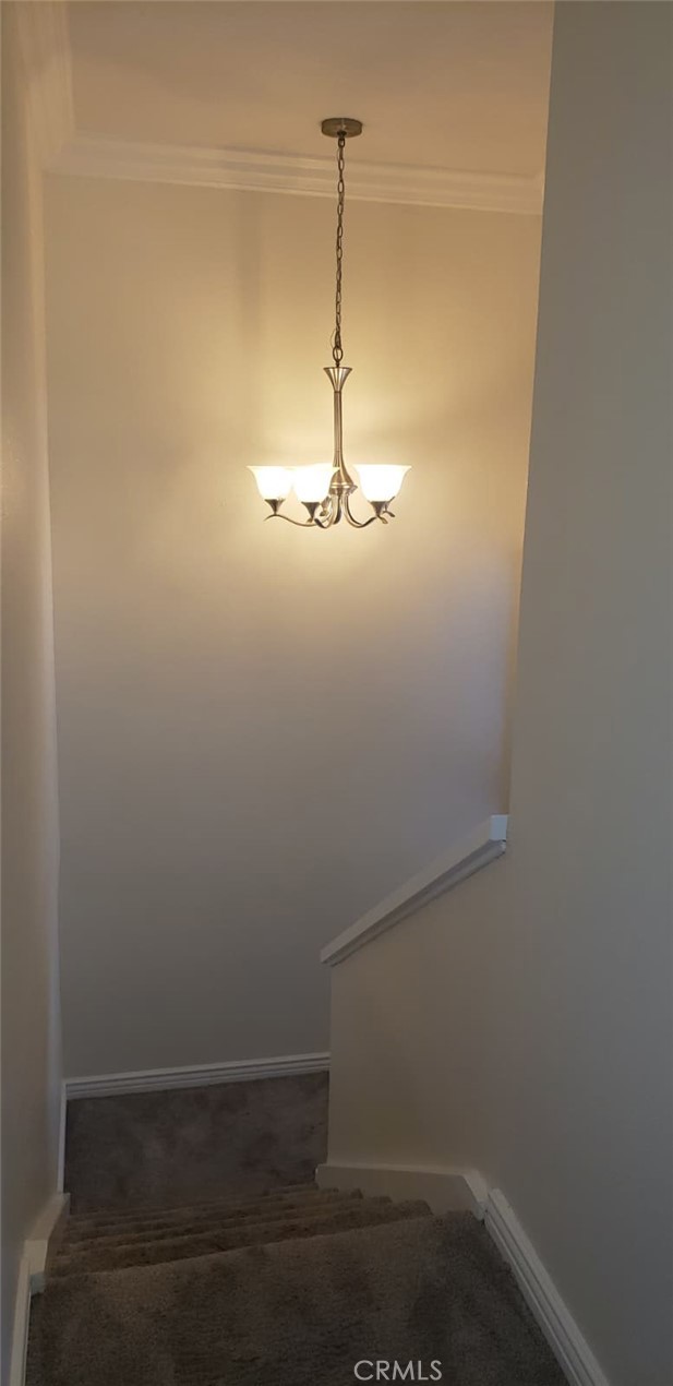 D97f35dd Eb09 4097 995f C04190d1781e