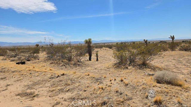 Image 8 of 21 For 0 147th St E Vicinity Capleton D