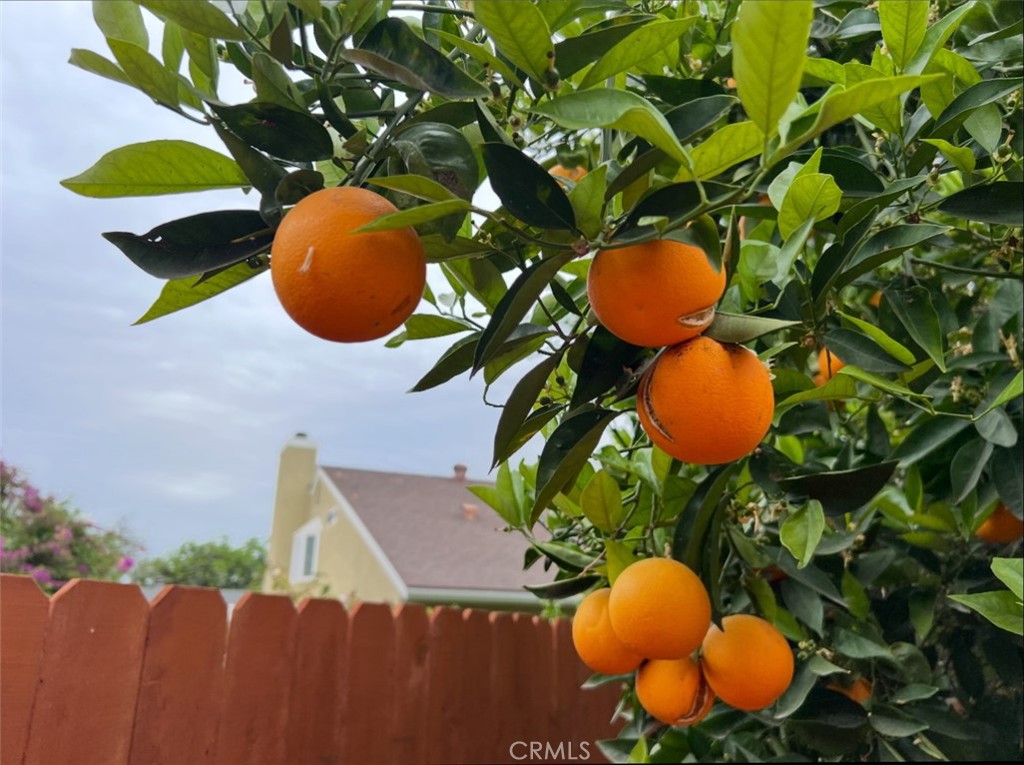 https://media.crmls.org/medias/d987d153-4152-4ee2-ac46-bc0fecdb8993.jpg?preset=X-Large