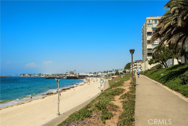 The Esplanade in front of the building is a wonderful place to jog, dog walk, rollerblade, or bike ride.