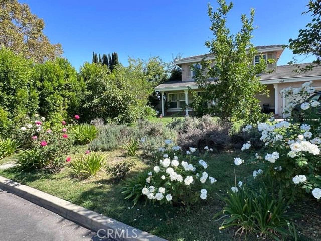 Front Image Thumbnail for CRWS25249822