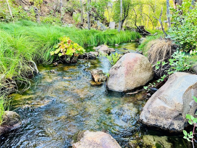 57665 Road 225, North Fork CA: https://media.crmls.org/medias/d9957a75-3318-4b7a-a190-a78178b5d3bb.jpg