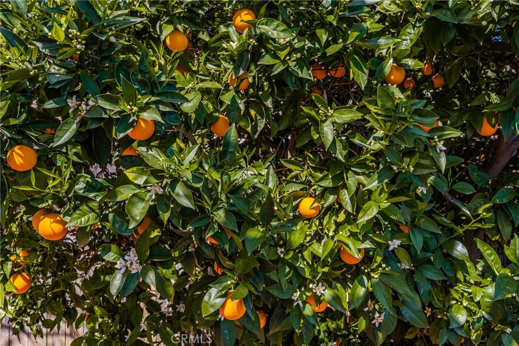 https://media.crmls.org/medias/d99891b6-e1bf-4953-975f-f93ed56ec97e.jpg?preset=X-Large
