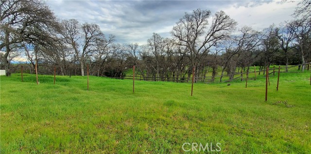 Detail Gallery Image 7 of 16 For 15842 S Mendocino, Corning,  CA 96021 - – Beds | – Baths