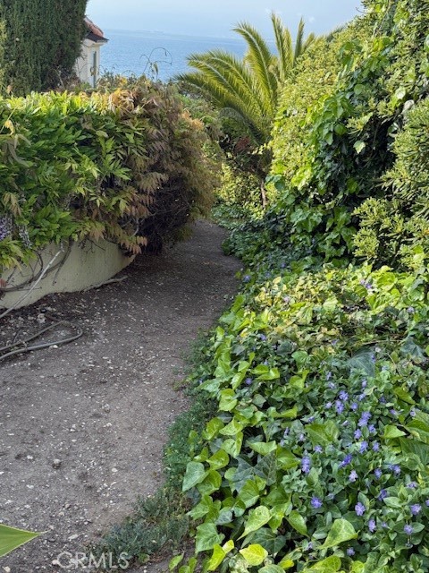 557 Via Almar, Palos Verdes Estates CA: https://media.crmls.org/medias/d99eb1f9-5590-455d-8483-1eafceabd15f.jpg