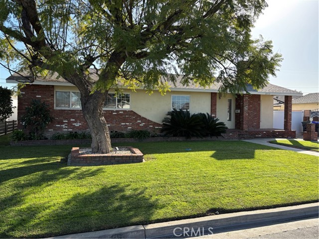 Front Image Thumbnail for CROC26074849