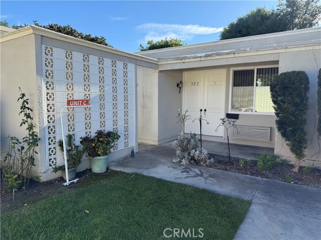 Front Image Thumbnail for CROC26013119