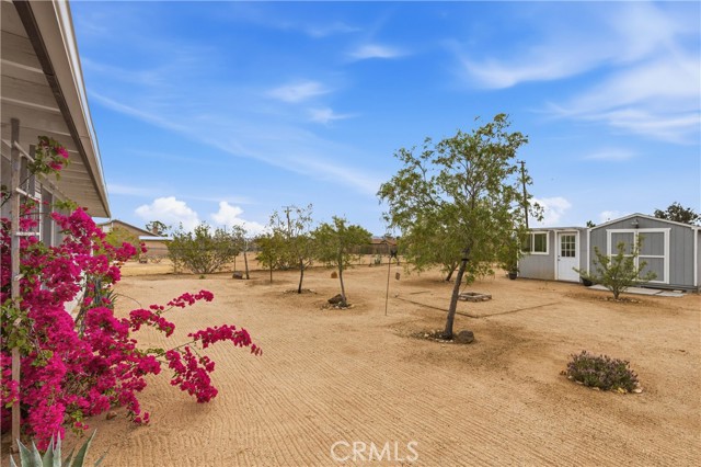 Detail Gallery Image 18 of 24 For 58193 Campanula, Yucca Valley,  CA 92284 - 3 Beds | 2 Baths