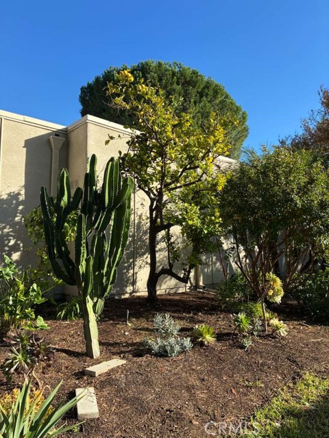 Detail Gallery Image 20 of 25 For 2091 Ronda Granada #D,  Laguna Woods,  CA 92637 - 3 Beds | 2 Baths