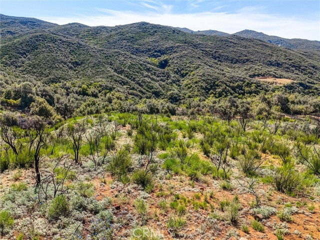 Detail Gallery Image 51 of 52 For 2 Decker Canyon Road, Ortega Mountain,  CA 92530 - – Beds | – Baths