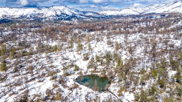 5650 Silva Rd, Mariposa, California 95338, ,Land,For Sale,5650 Silva Rd,CRMP23043903