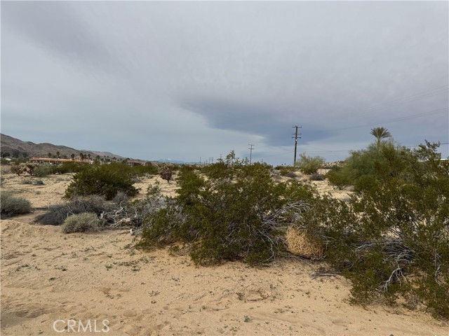 Detail Gallery Image 3 of 3 For 0 Joshua Dr, Twentynine Palms,  CA 92277 - – Beds | – Baths