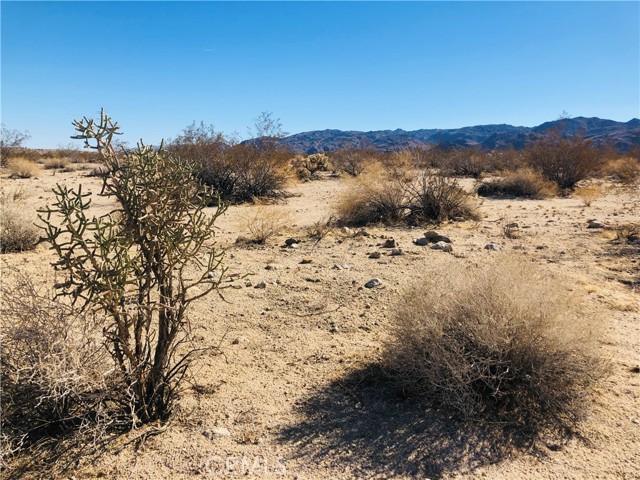 Detail Gallery Image 6 of 9 For 5 Appian Way, Twentynine Palms,  CA 92277 - – Beds | – Baths