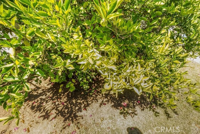 2270 E Orange Grove Boulevard, Pasadena CA: https://media.crmls.org/medias/d9cf1944-8624-4a1e-a70a-6d0edbc4da7d.jpg