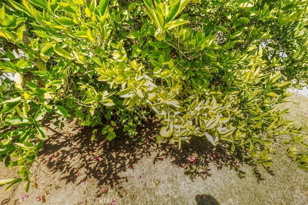 MLS #HD25177801 img 54