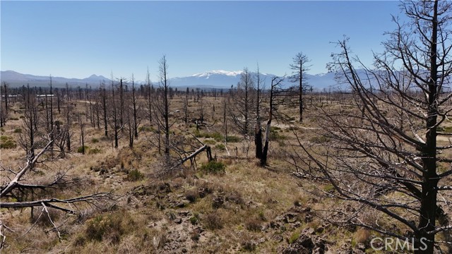 Detail Gallery Image 15 of 25 For 35 Blk 43 Lot 35 Heinzelman Dr, Montague,  CA 96064 - – Beds | – Baths