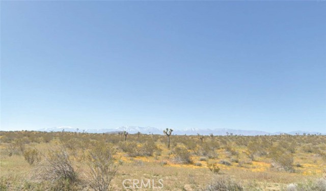 0 E 185th Ste, Lancaster CA: https://media.crmls.org/medias/d9d46902-39f5-463a-9633-daeff7626eaf.jpg