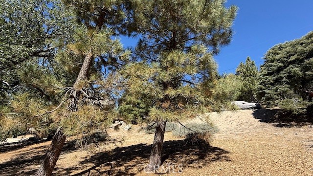 Detail Gallery Image 14 of 15 For 0 Piedras Grande, Green Valley Lake,  CA 92341 - – Beds | – Baths