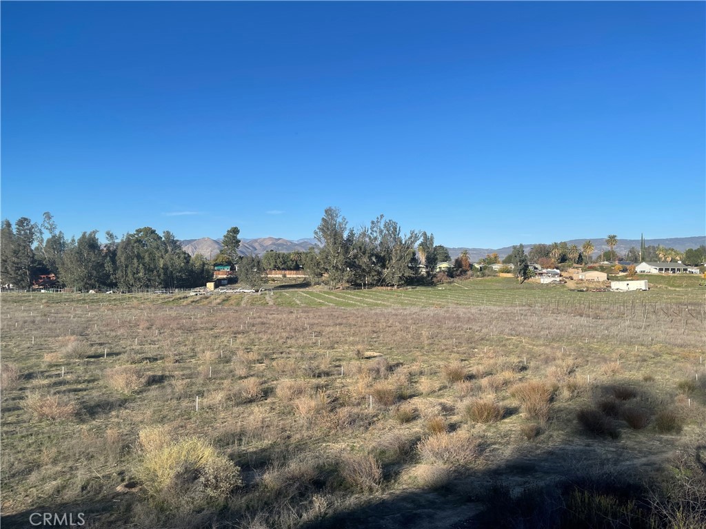 MLS #WS25276306 image #37