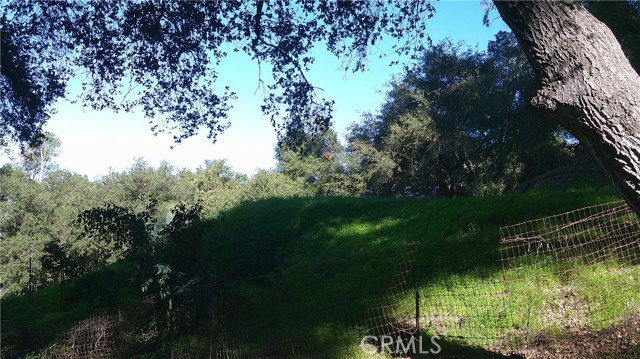 Detail Gallery Image 7 of 18 For 4214 Elzevir Rd, Woodland Hills,  CA 91364 - – Beds | – Baths