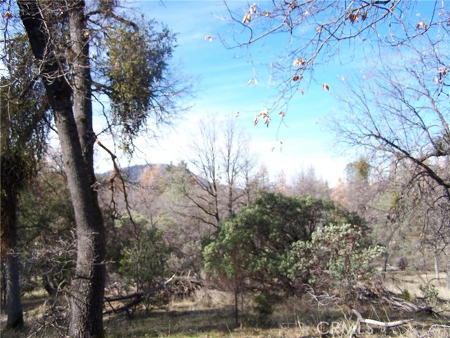 1 Jean Rd West, Oakhurst, California 93644, ,Land,For Sale,1 Jean Rd West,CRFR24055447