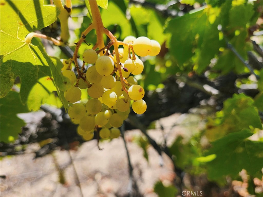 https://media.crmls.org/medias/d9e13b93-8c6e-4081-8e81-0c9163087bbe.jpg?preset=X-Large