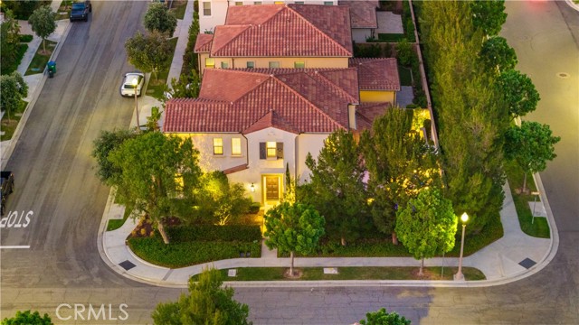 Image 71 of 75 For 100 Pumpkin  