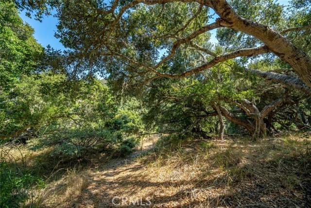 Detail Gallery Image 65 of 75 For 1300 Calle Cordoniz Road, Los Osos,  CA 93402 - 3 Beds | 2 Baths