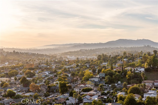 Detail Gallery Image 31 of 42 For 1393 N Avenue 57, Los Angeles,  CA 90042 - 3 Beds | 3 Baths