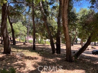 7878 Soda Bay Road, Kelseyville CA: https://media.crmls.org/medias/d9ea7f9c-1e08-4172-811b-99537f1273cd.jpg