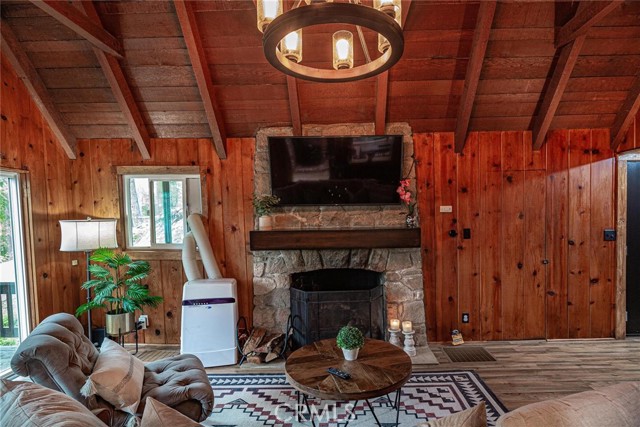 1st fireplace in living room