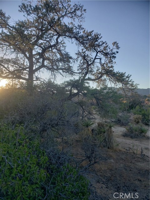 Detail Gallery Image 34 of 49 For 1 Sun Terrace, Mountain Center,  CA 92561 - – Beds | – Baths