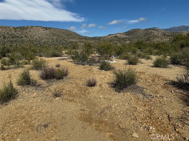 0 Covered Wagon Trail, Anza, California 92539, ,Land,For Sale,0 Covered Wagon Trail,CRSW24042253