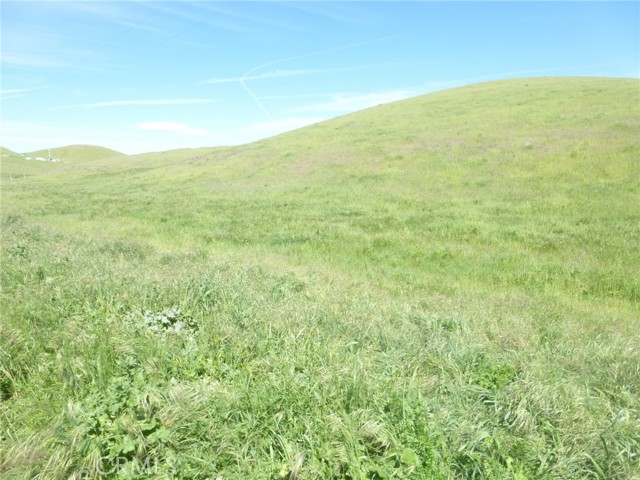 Detail Gallery Image 13 of 27 For 0 Douglas Rd. (Lot 41), San Miguel,  CA 93451 - – Beds | – Baths