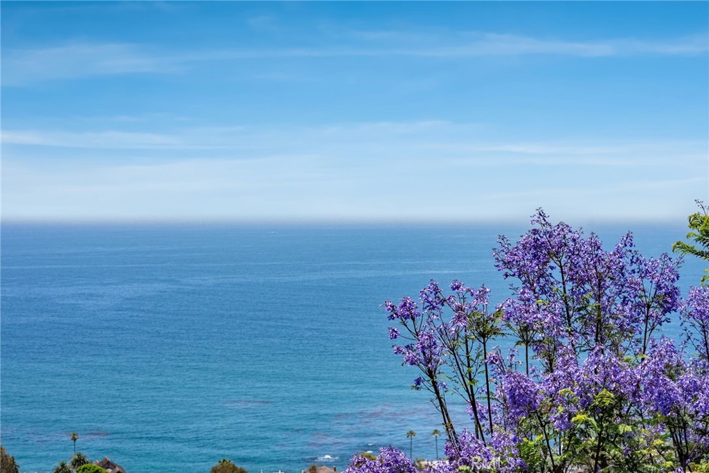 D9f4d92a Aee5 46c6 9078 D7c9680b2539