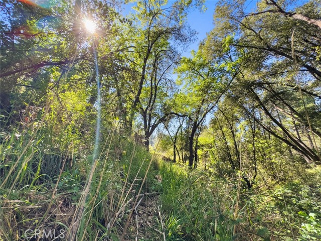 Detail Gallery Image 17 of 42 For 22666 Lower Quail Mine Rd, Sonora,  CA 95370 - 2 Beds | 1 Baths